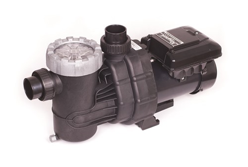 Raypak Residential Pool /Spa Heaters - Professional Pool Pump, PS165VSP